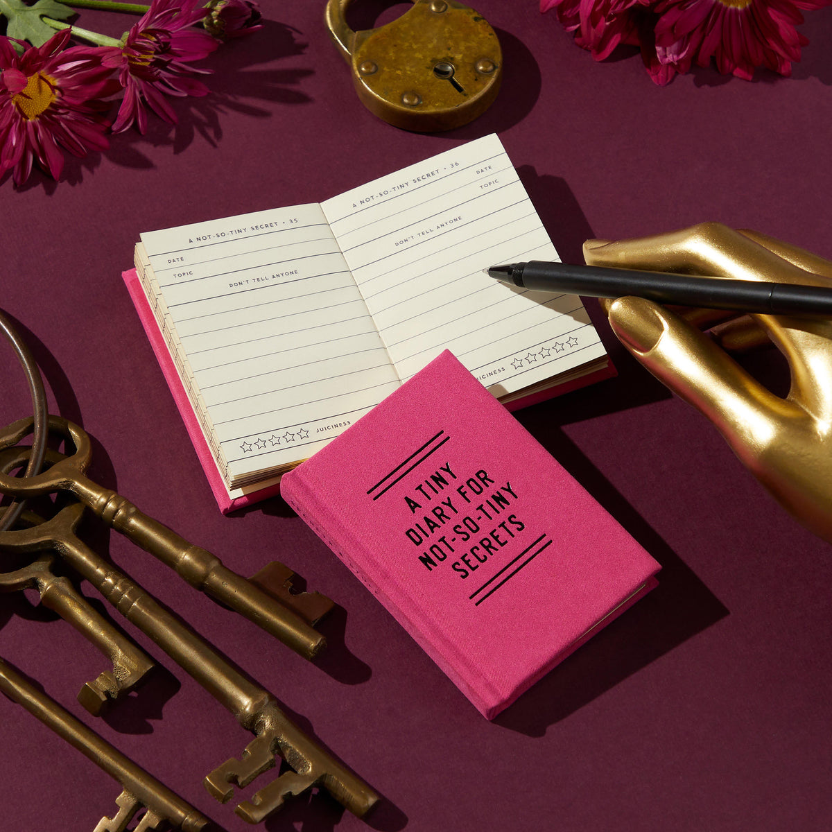 Diary - Not So Tiny Secrets