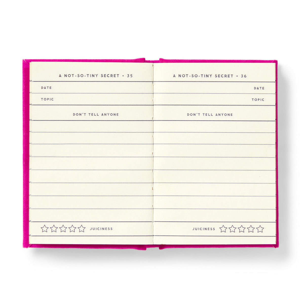 Diary - Not So Tiny Secrets