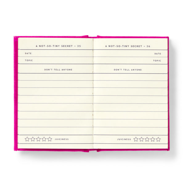 Diary - Not So Tiny Secrets