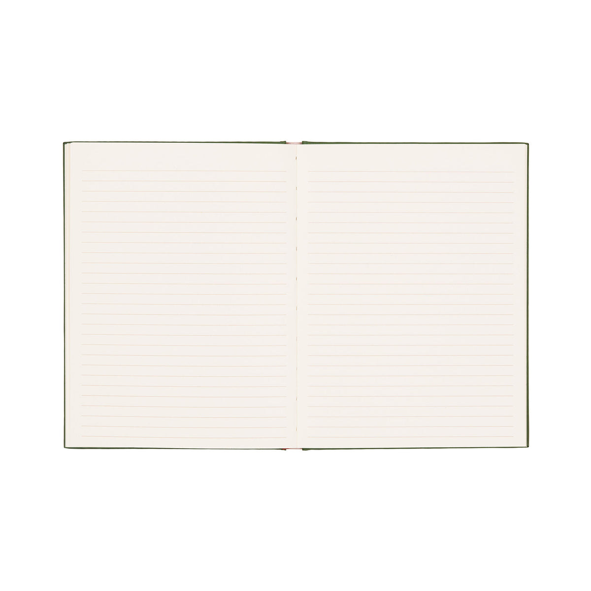 Eye Of Protection Journal