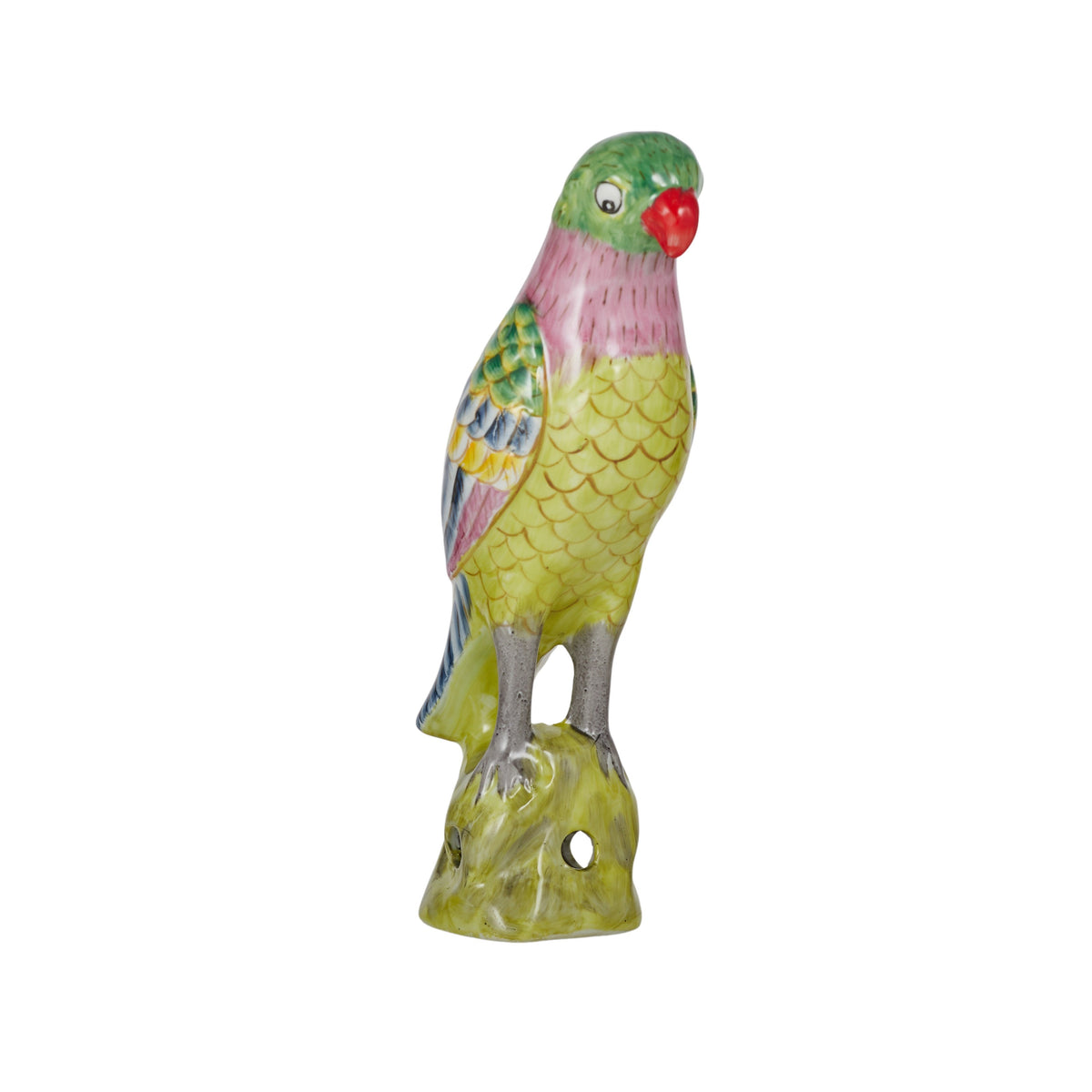 Pascal Coloured Parrot – A Boy Named Aaron