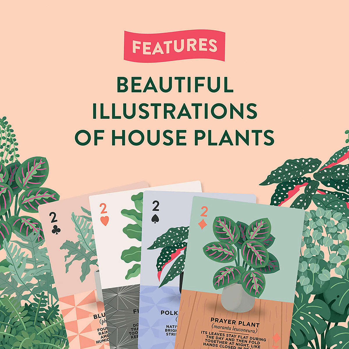 House Plants Playing Cards