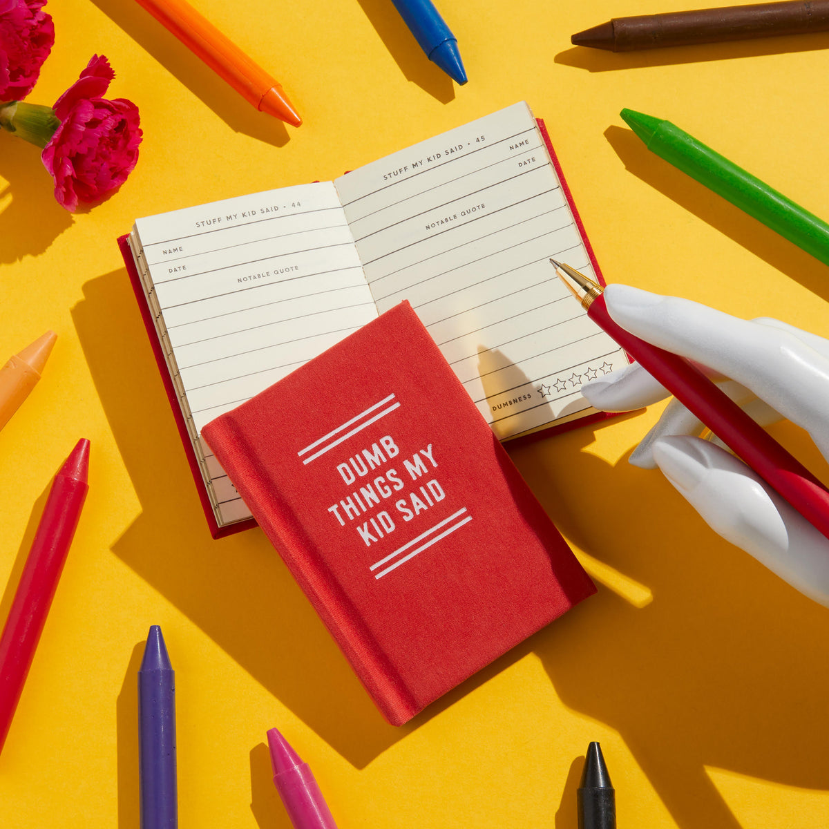 Diary - Dumb Things My Kid Said