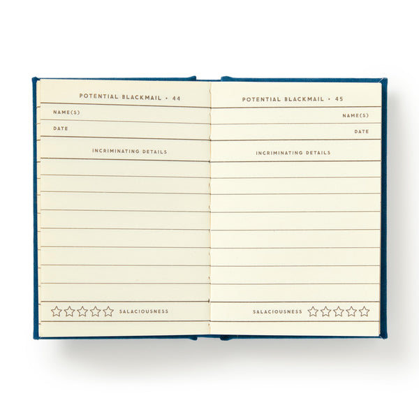 Diary - Future Blackmail